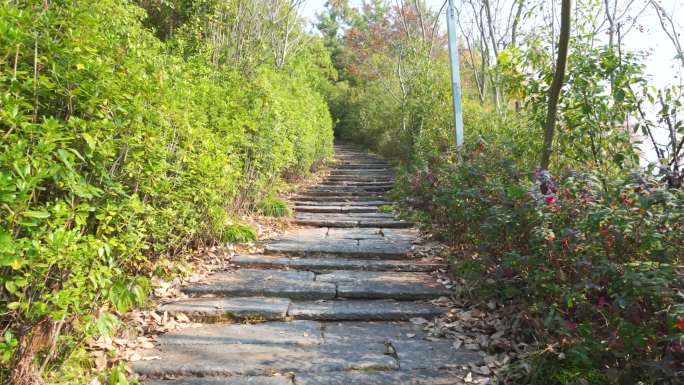 上山小路、石阶路