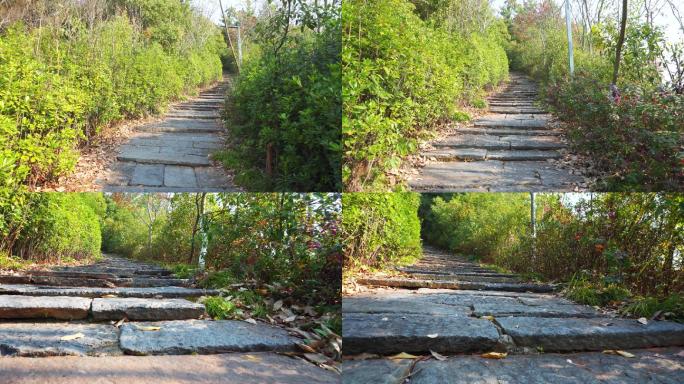 上山小路、石阶路