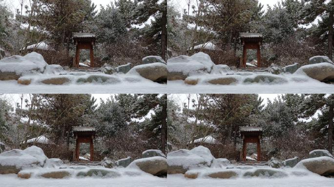 南郭寺冬雪网红打卡地古风门-1