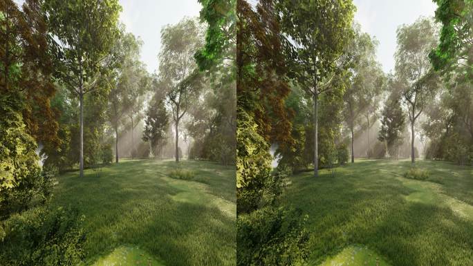 左右眼立体3D森林日出光线延时2k