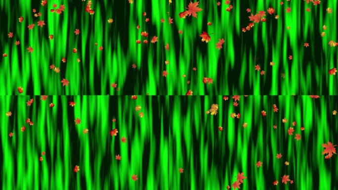 4K绿色幕布枫叶落下动画循环-