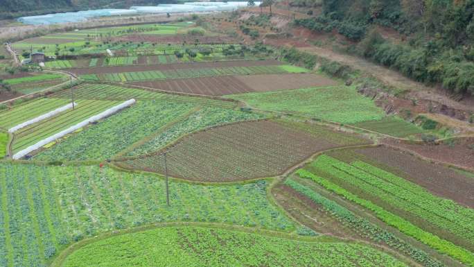 乡村航拍(溪水、住房、蔬菜地）