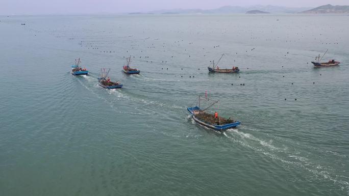 大海上渔船船队 渔船作业 渔船捕捞 航拍