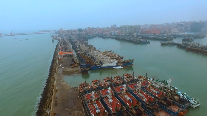 港口渔船整齐停泊航拍空镜
