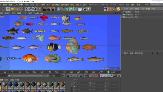 C4D+3dsmax+fbx模型--鱼群