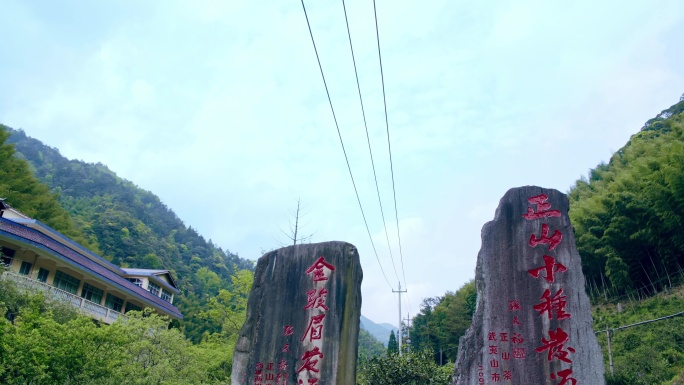 武夷山桐木关桐木村石头牌匾