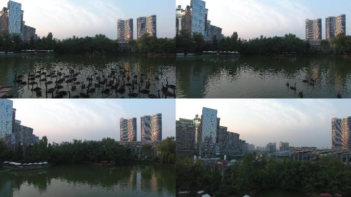 天鹅湖航拍