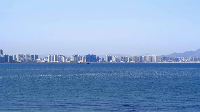 实拍海上大规模海鸥飞翔