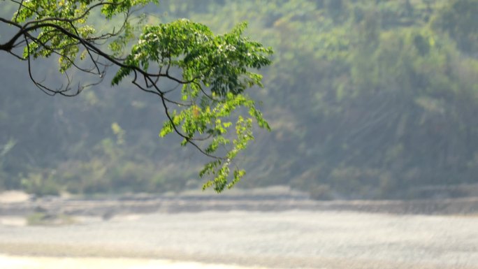 家门前的风景大河奔流_