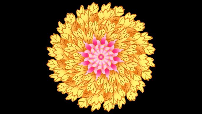金色粉色创意组合花朵花开无缝循环
