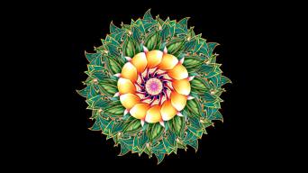 国潮创意组合牡丹花花开无缝循环视频素材