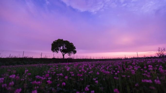 田园风光延时摄影日转夜星空4K风景视频