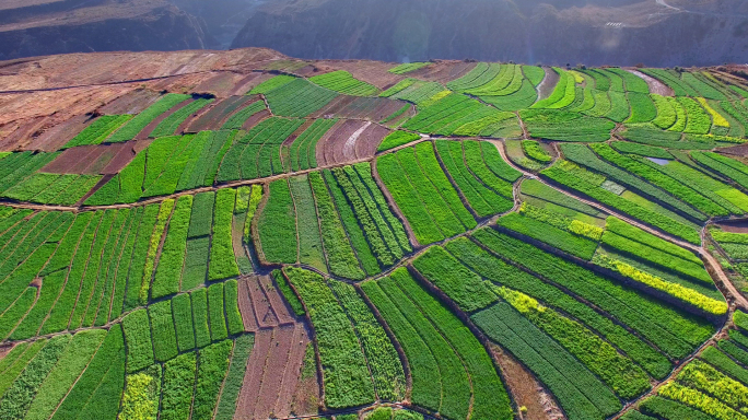 金沙江虎跳峡大雪山大峡谷