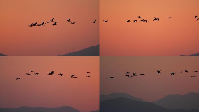 夕阳下山间飞翔的鸟儿原始素材