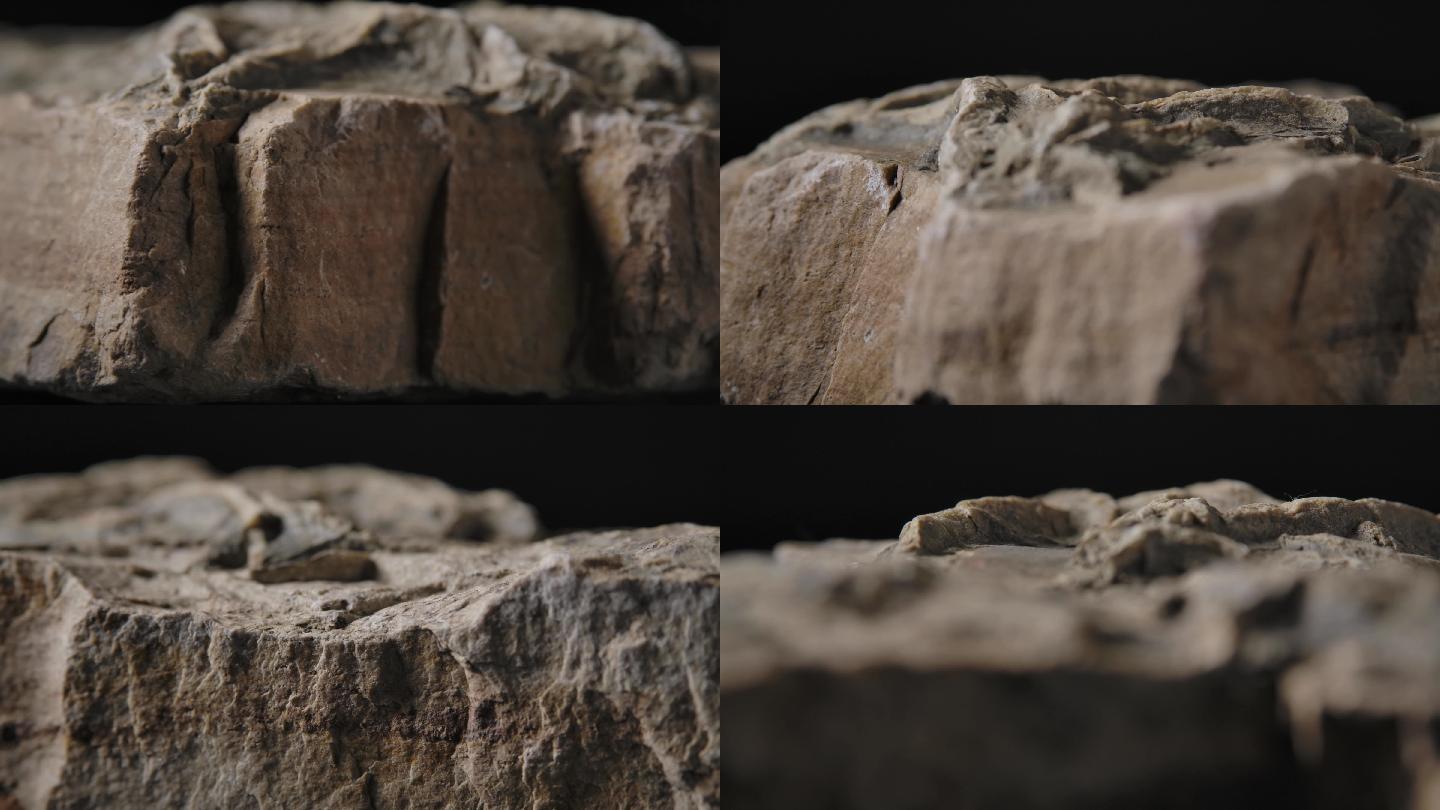 古生物化石6（4K）