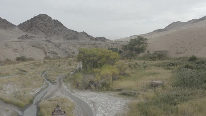 甘肃敦煌胡杨峡谷景区灰色调log格式4K