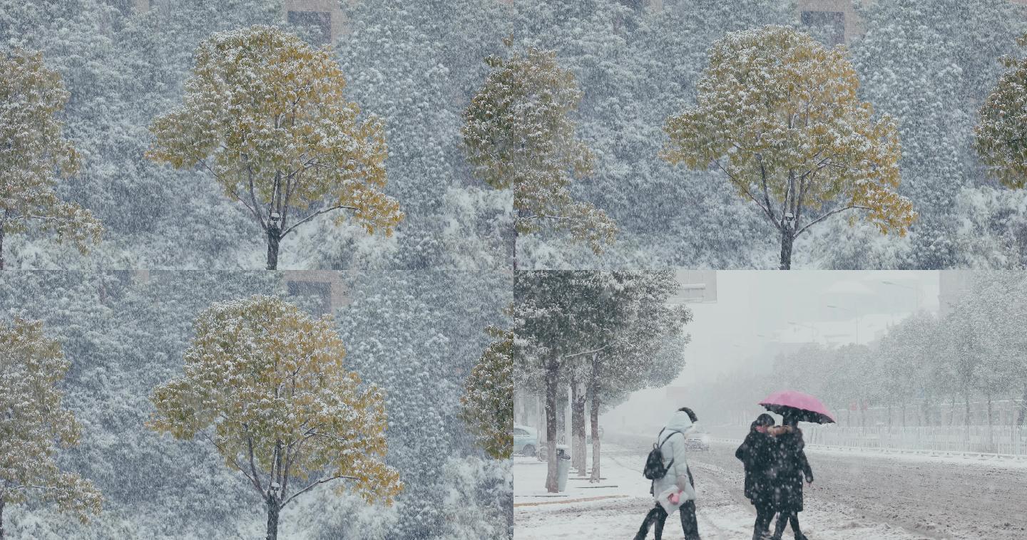 4K风雪中的街头树木行人一组02