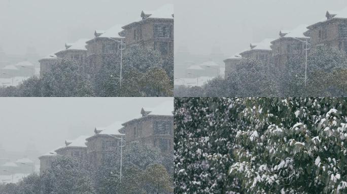 4K大雪中的小区屋顶和树木01