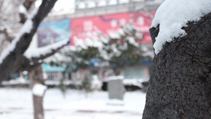 下雪大雪暴雪暴风雪实拍素材