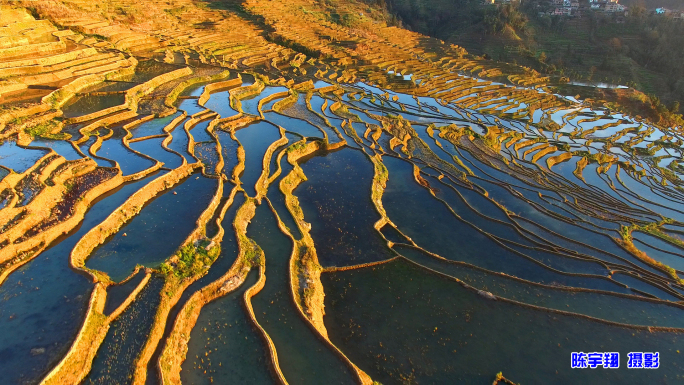 云南红河县甲寅乡梯田（金色梯田）