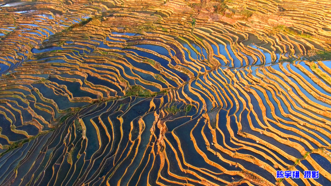 云南红河县甲寅乡梯田（金色梯田）