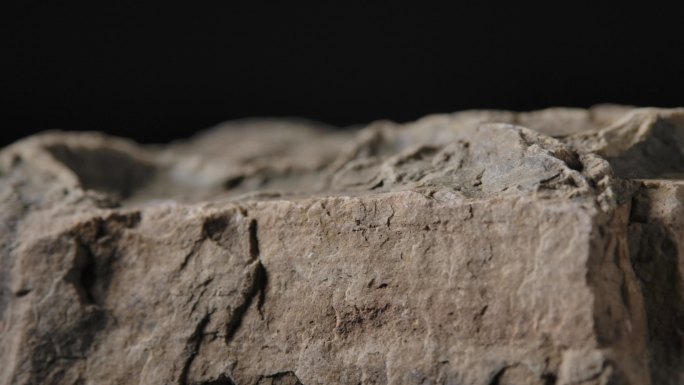 古生物化石13（4K）