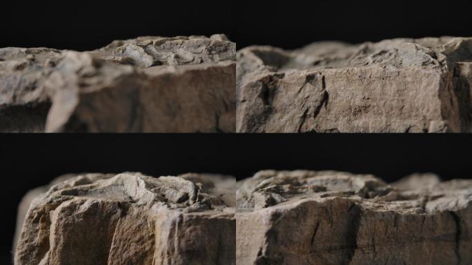 古生物化石13（4K）