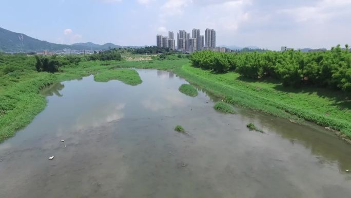 城市河道改造前各种臭水沟暗流涌入