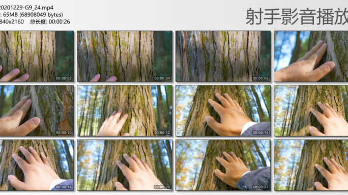 【原创】用手摸树的镜头一组