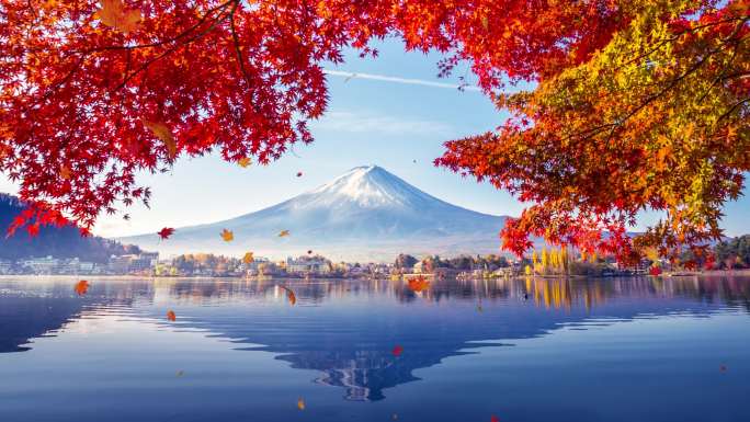 秋天枫叶下的富士山