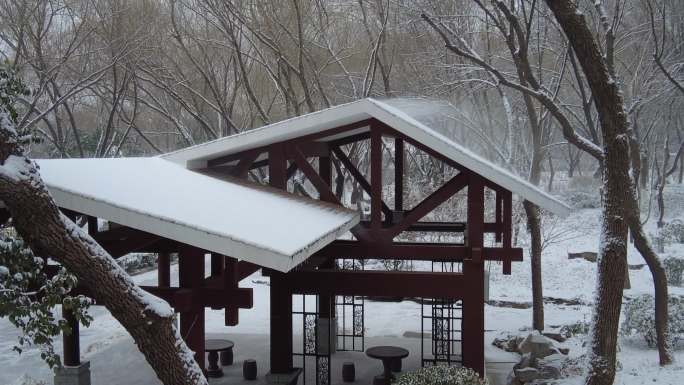 飞雪天-特写