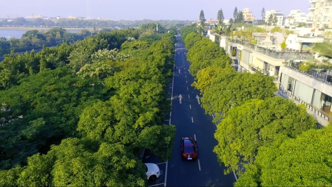 汽车行驶在绿意盎然的公路航拍