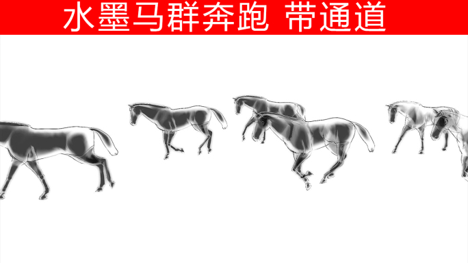 马群奔跑-alpha通道（05）