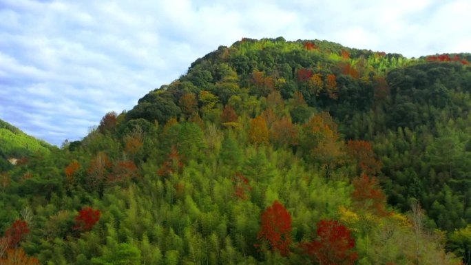 满山红叶大山带云朵