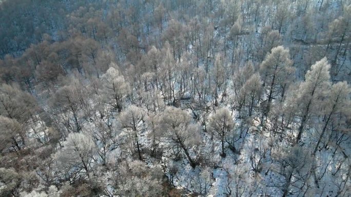 冬日雪山雪景雾凇航拍素材