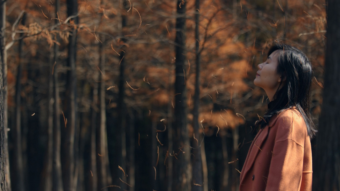 女孩在秋天树林行走慢镜头视频素材