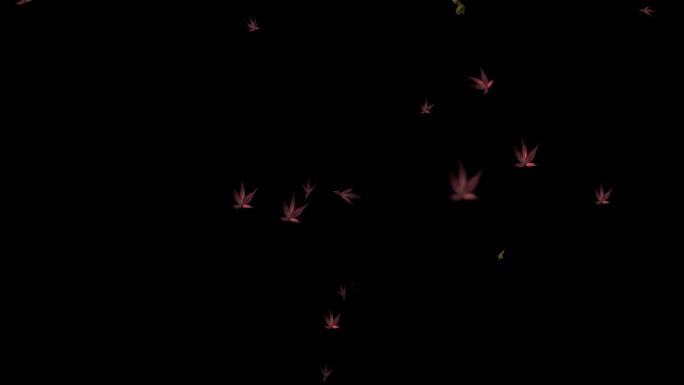 落叶枫叶飘落无缝循环视频素材