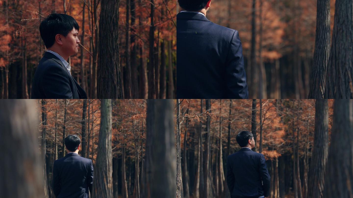 穿西装的男人在秋天树林里行走视频素材