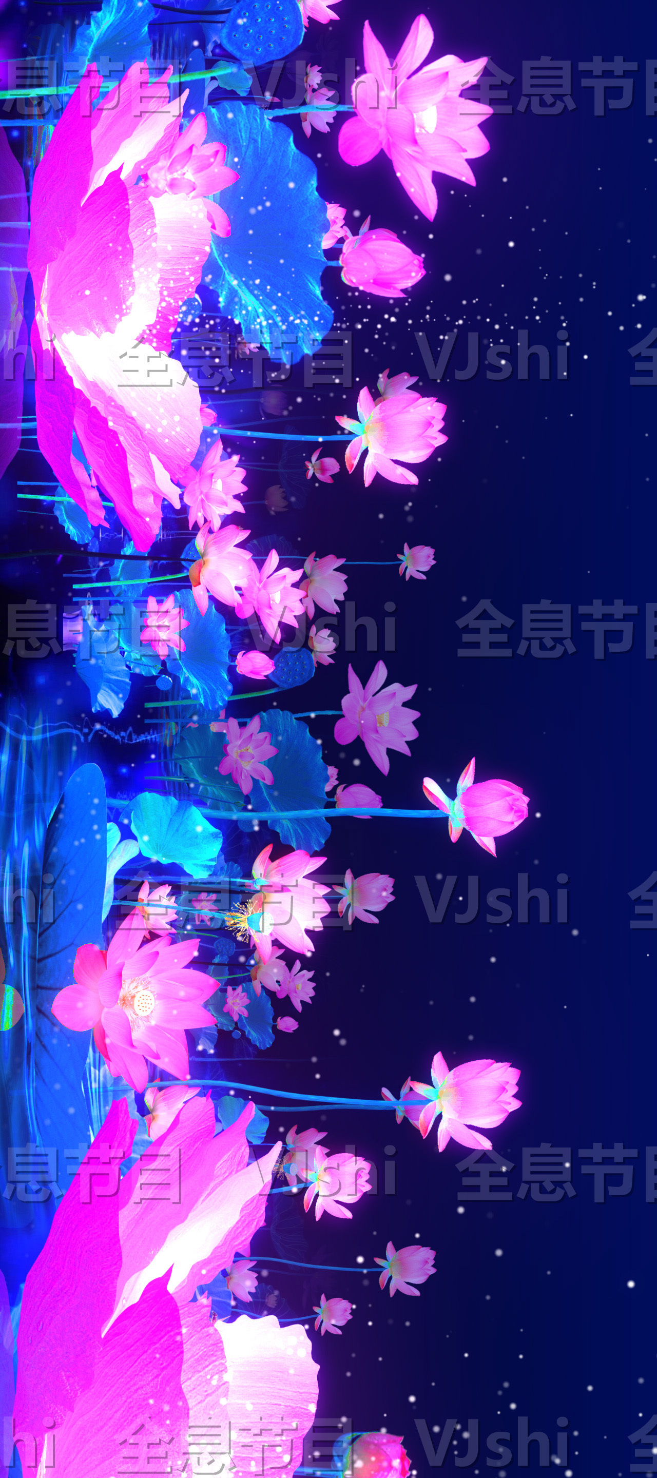 原创4K循环梦幻荷花