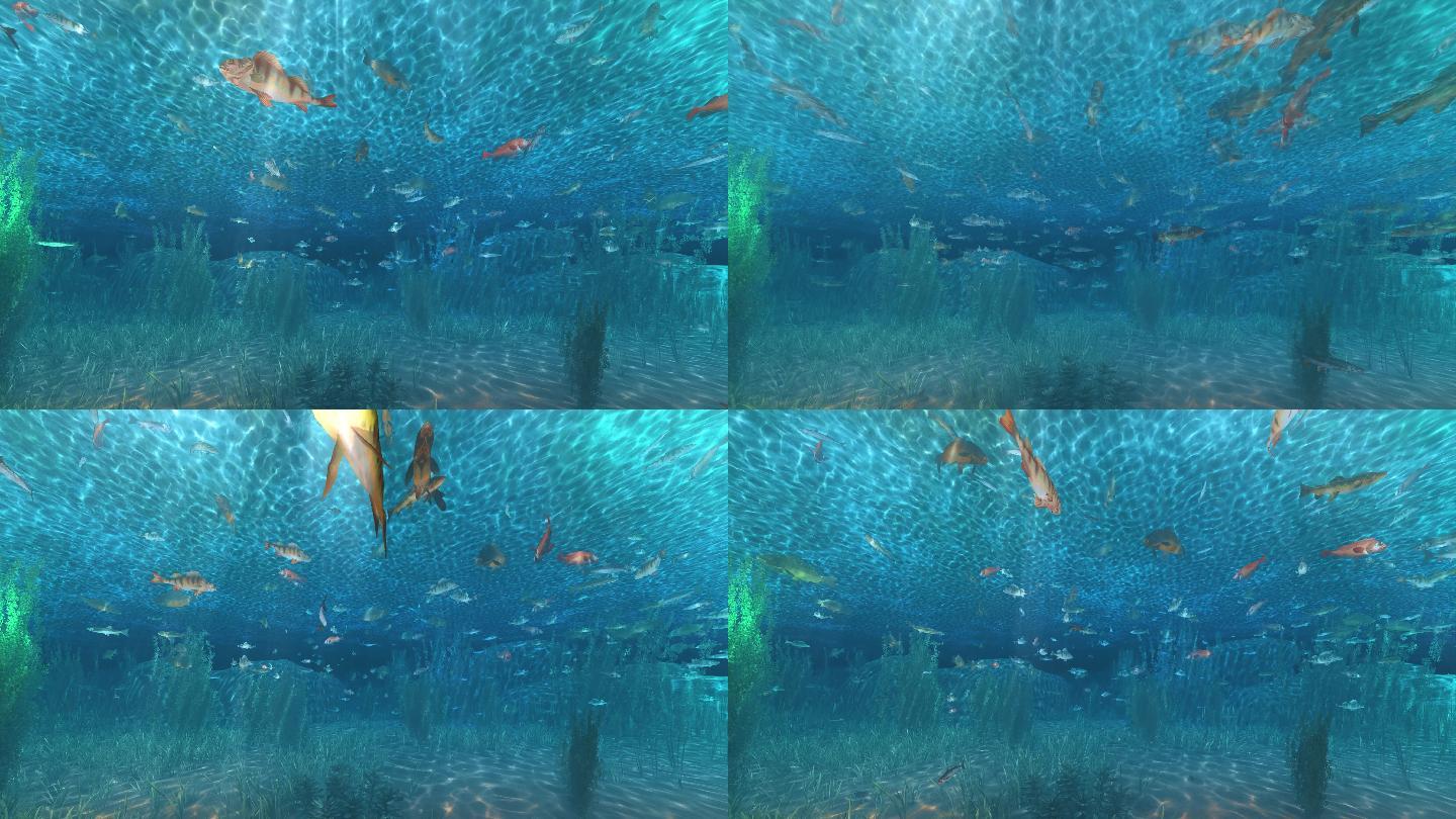 4k鱼群无缝循环大屏投影led背景动画