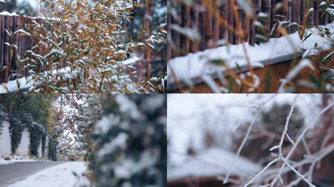雪景树木植物公园4KRED视频素材