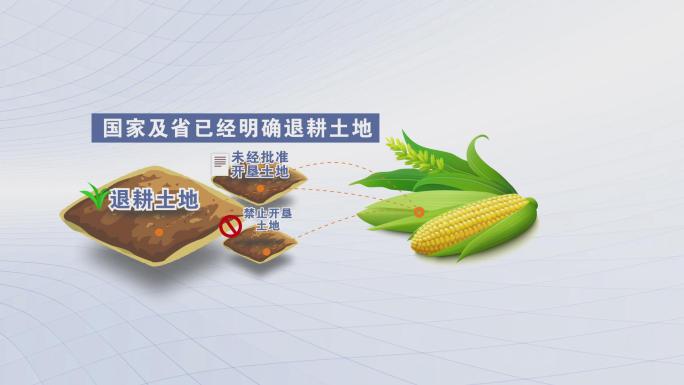 土地退耕玉米禁止开垦政府补偿战略新兴产业