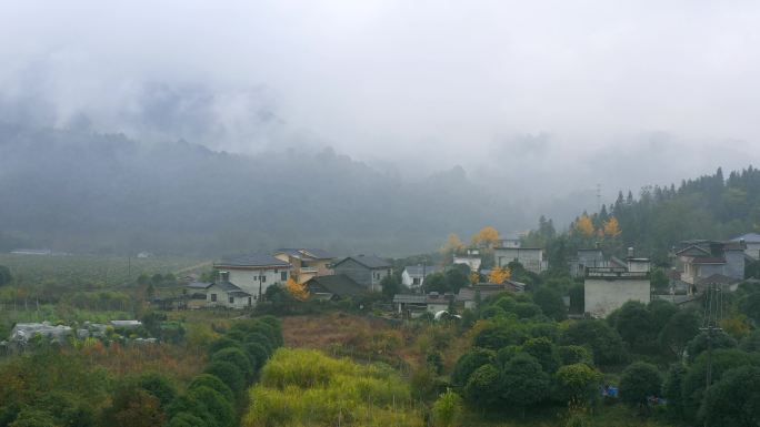 山间小溪云雾银杏村庄田野航拍