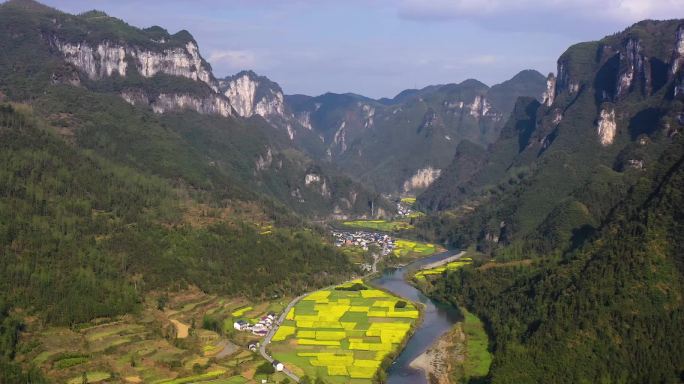 花垣县补抽乡大兴寨夯腊村油菜花