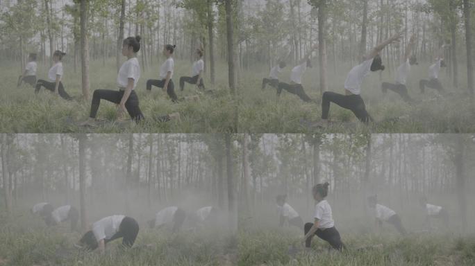 阿莱电影机实拍灰度模式-草地瑜伽