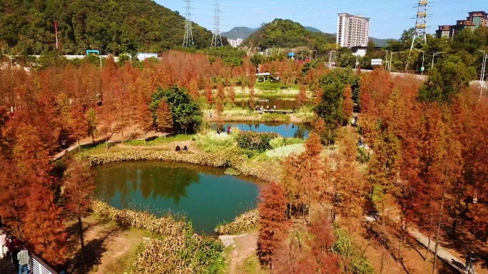 广州天河湿地公园