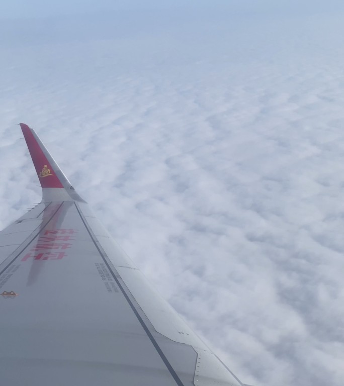 飞机飞行在蓝天白云之间