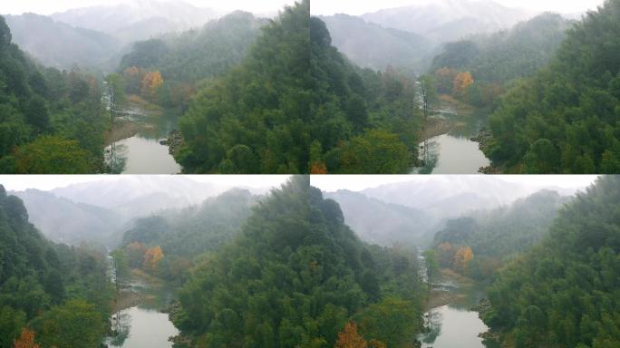 山谷小溪小河枫叶红叶树林森林