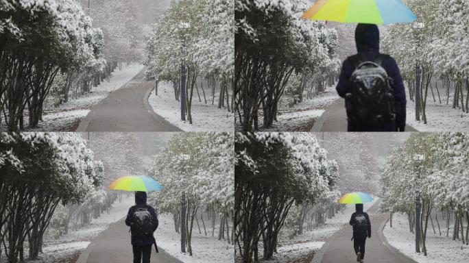 下雪时的打伞走在路上的人物背影