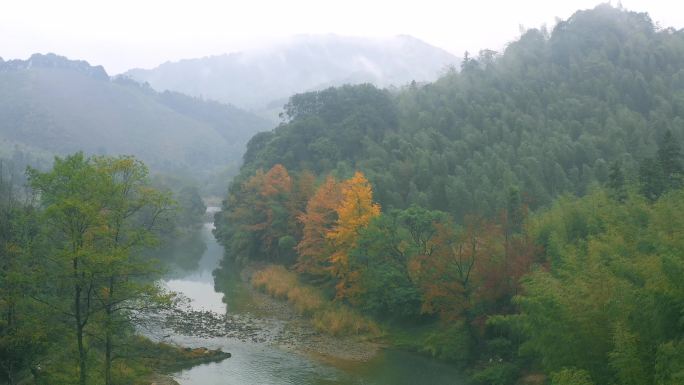 山间小溪枫叶红叶树林云雾航拍